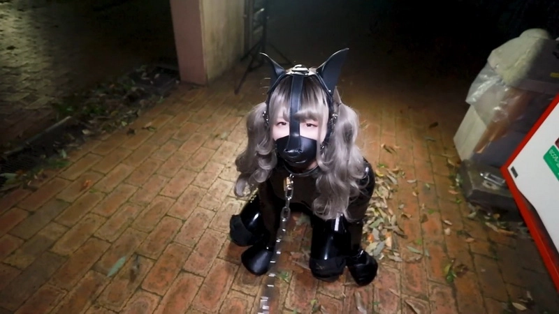 Lemon-049 - Outdoor Human Dog